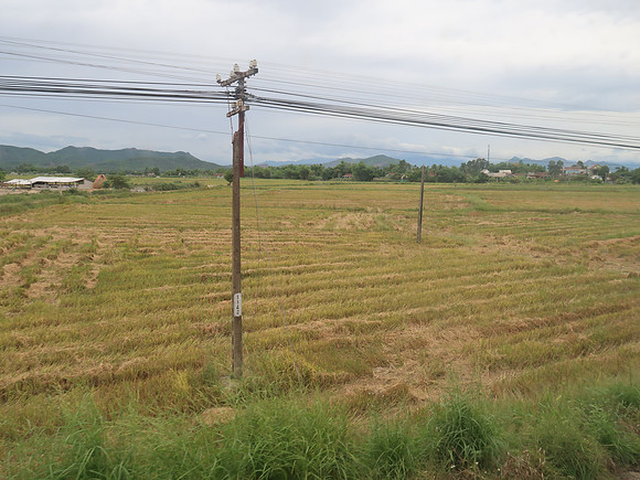 IMG_1710-rice-fields-view