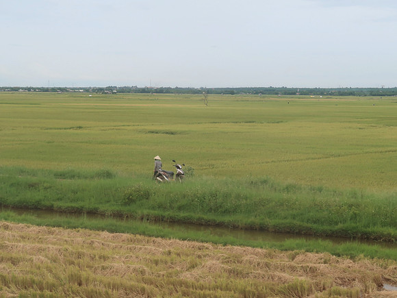 IMG_1745-rice-farmer