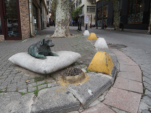IMG_4474-moda-dog-monument