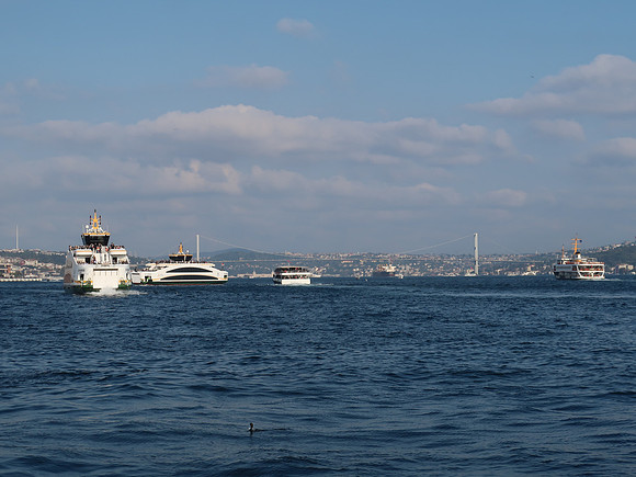 IMG_3985-ferries