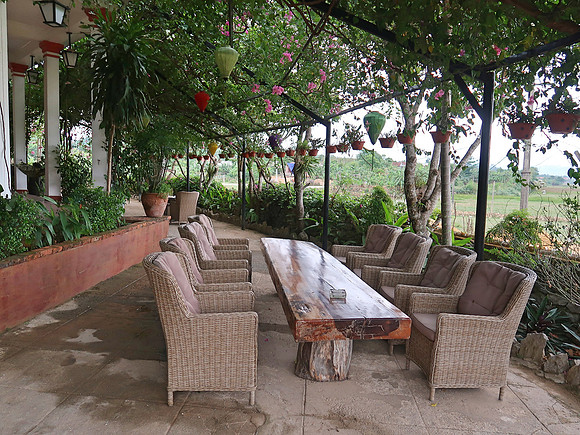 IMG_1791-farmstay-garden