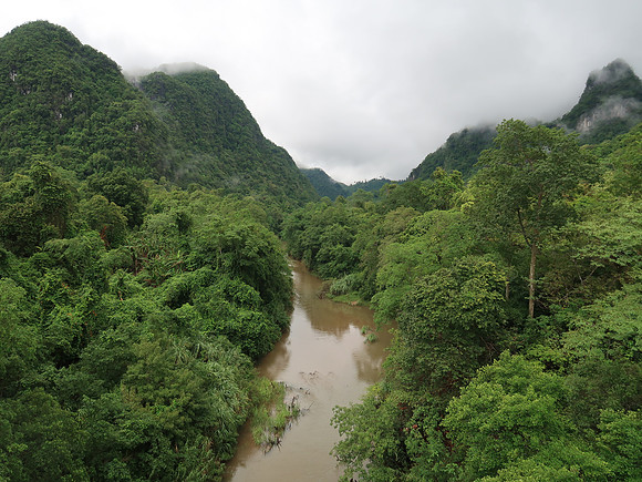 IMG_1812-river-and-jungle