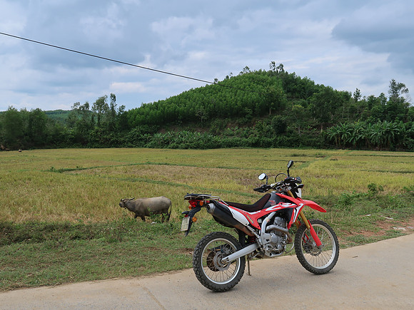 IMG_1937-dirt-bike