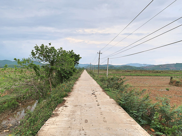 IMG_1945-rice-field-walk