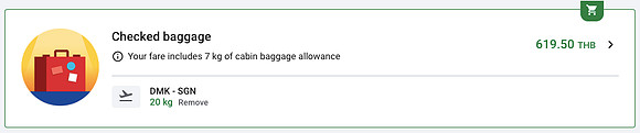 dmk-sgn-checked-baggage