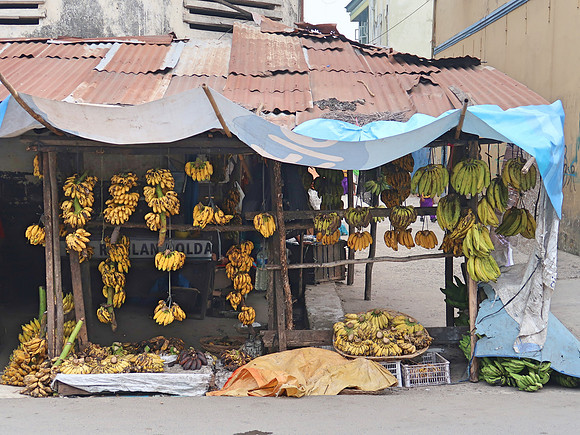 IMG_2872-banana-street