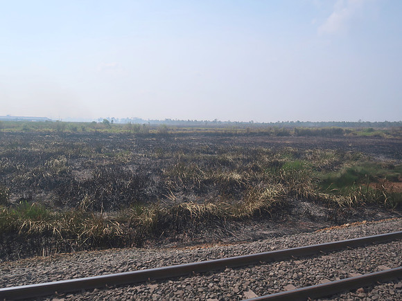 IMG_3094-scorched-sumatra