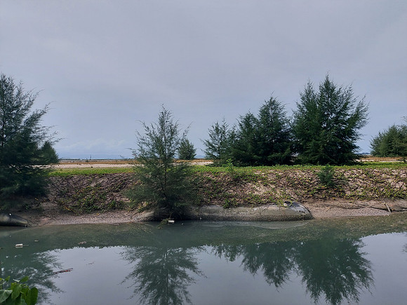 20220714_163517-gurney-reclamation