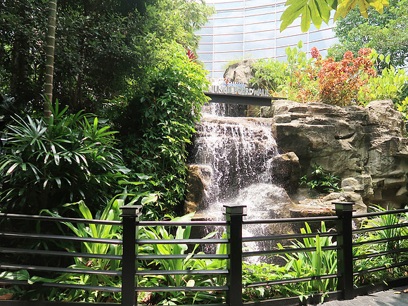 IMG_3789-jungle-walk