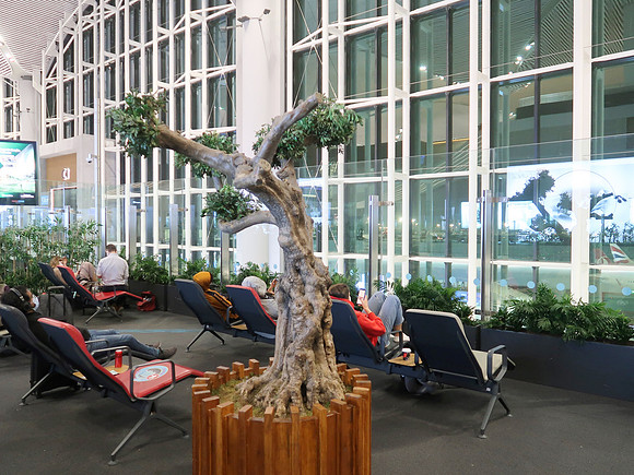 IMG_4532-lounge-chairs