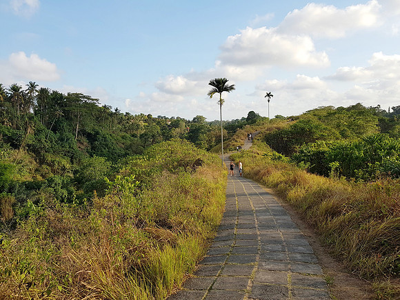 20191031_165440-campuhan-ridge-walk