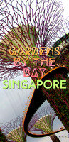 gardens-by-the-bay-singapore