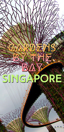 gardens-by-the-bay-singapore