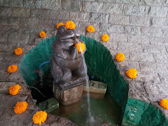 20191030_143526-namaste-frog