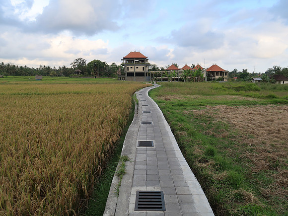 IMG_4449-villa-juwuk-manis