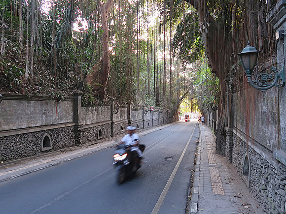 IMG_4455-valley-road