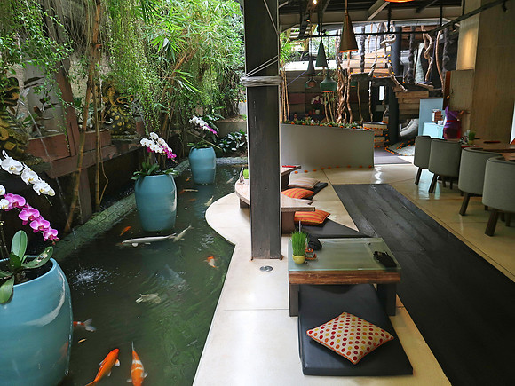 IMG_4477-clear-cafe-fish-pond