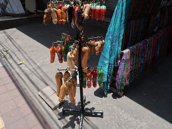 IMG_4493-penises
