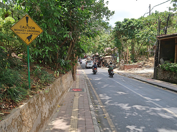 IMG_4497-monkey-forest-road