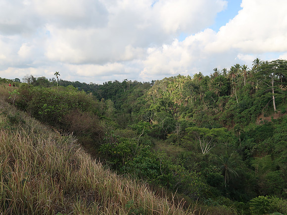 IMG_4517-campuhan-ridge-valley