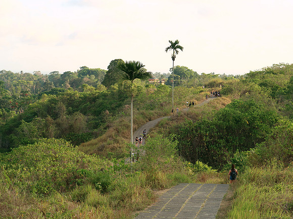 IMG_4523-campuhan-ridge