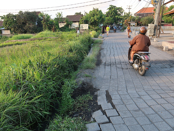 IMG_4533-ricefield-androad