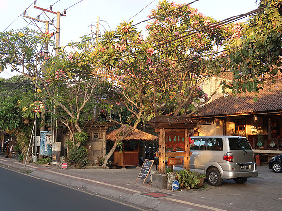 IMG_4542-ubud-inn