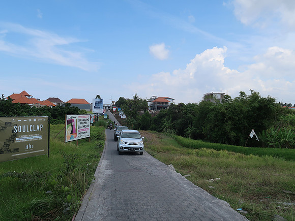IMG_4582-short-cut