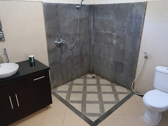 IMG_4567-eddys-bathroom