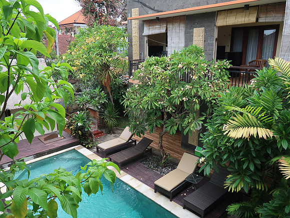 IMG_4712-eddys-pool-garden