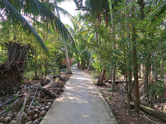 IMG_5024-path-to-farmstay