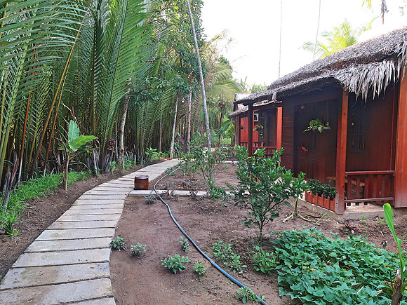 IMG_5033-farmstay-path