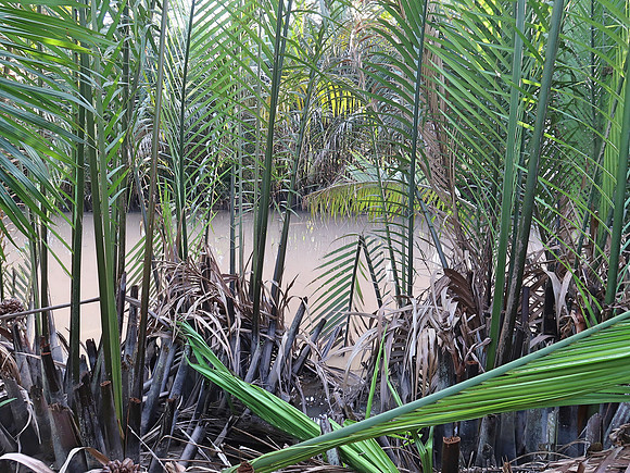 IMG_5036-farmstay-riverside