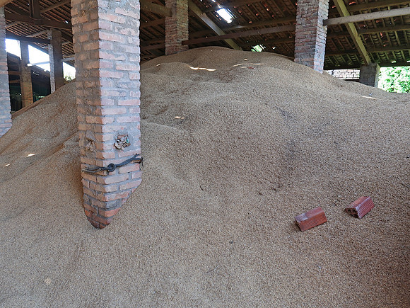 IMG_5069-rice-husks-fuel