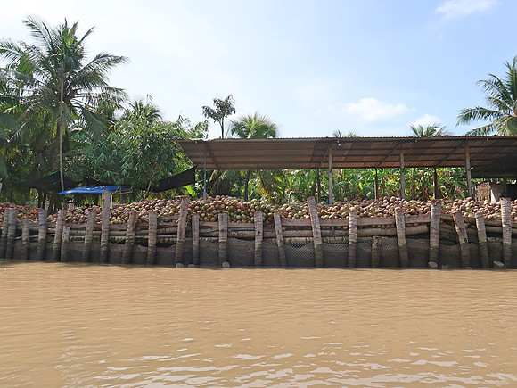 IMG_5085-coconut-processing