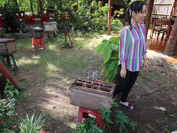 IMG_5089-bee-lady