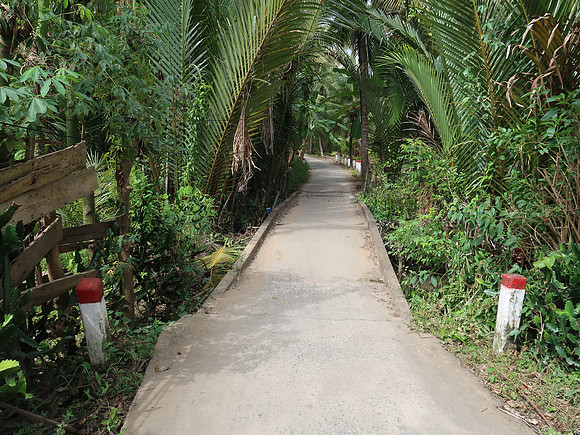 IMG_5092-concrete-lane