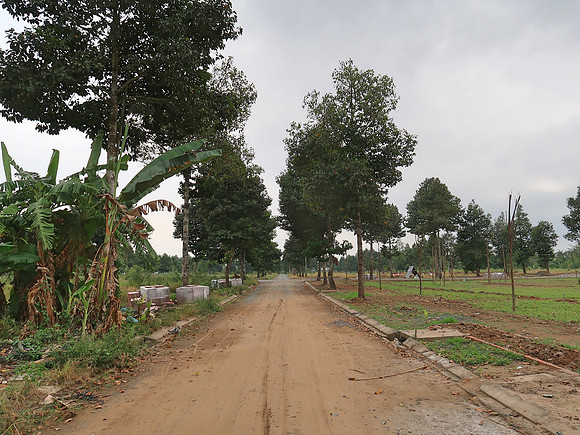 IMG_5342-new-road