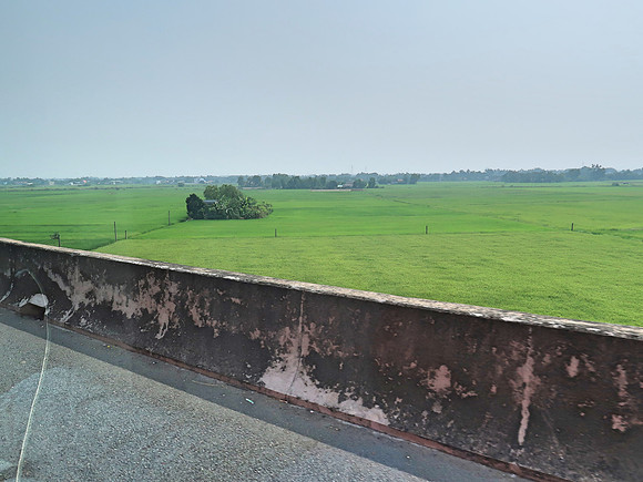 IMG_5471-expressway-over-ricefields