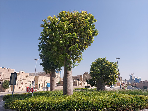 20211112_115643-al-fahidi-historical-neighbourhood