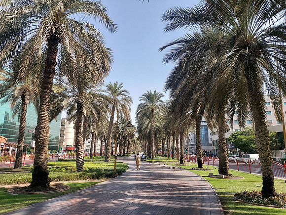 20211115_113936-muteena-park
