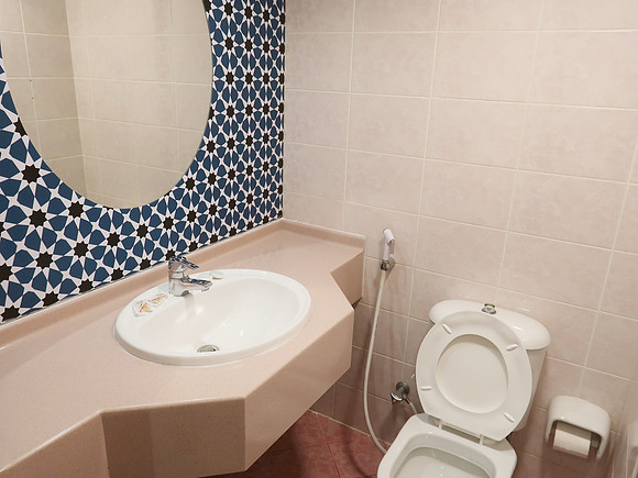 IMG_4581-mt-sina-bathroom