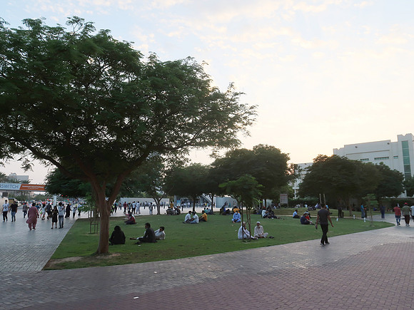 IMG_4615-union-square-park