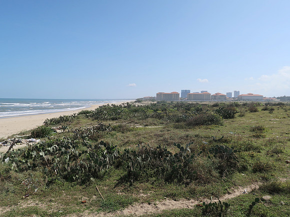 IMG_5740-south-beach-site