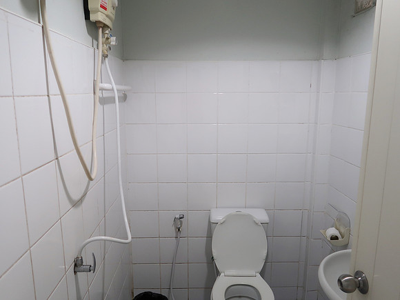 IMG_6450-garden-bathroom