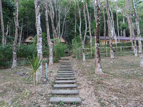 IMG_6453-path-to-rooms
