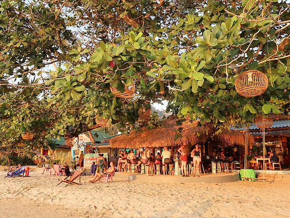 IMG_6464-beach-trees
