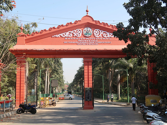 IMG_7462-cubbon-park