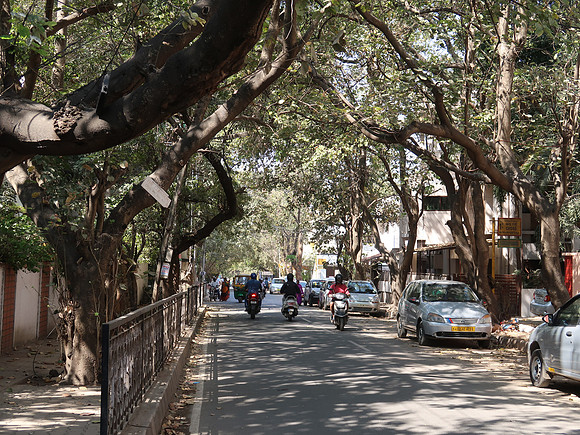 IMG_7508-10th-main-rd-indiranagar