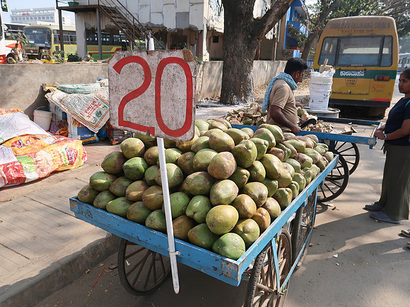 IMG_7583-coconuts